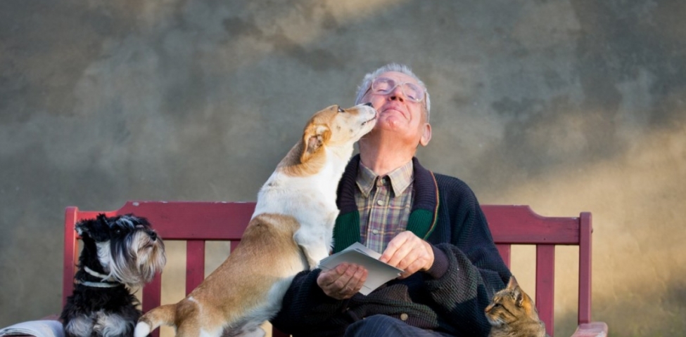 Los beneficios físicos y psicológicos de tener un perro en casa